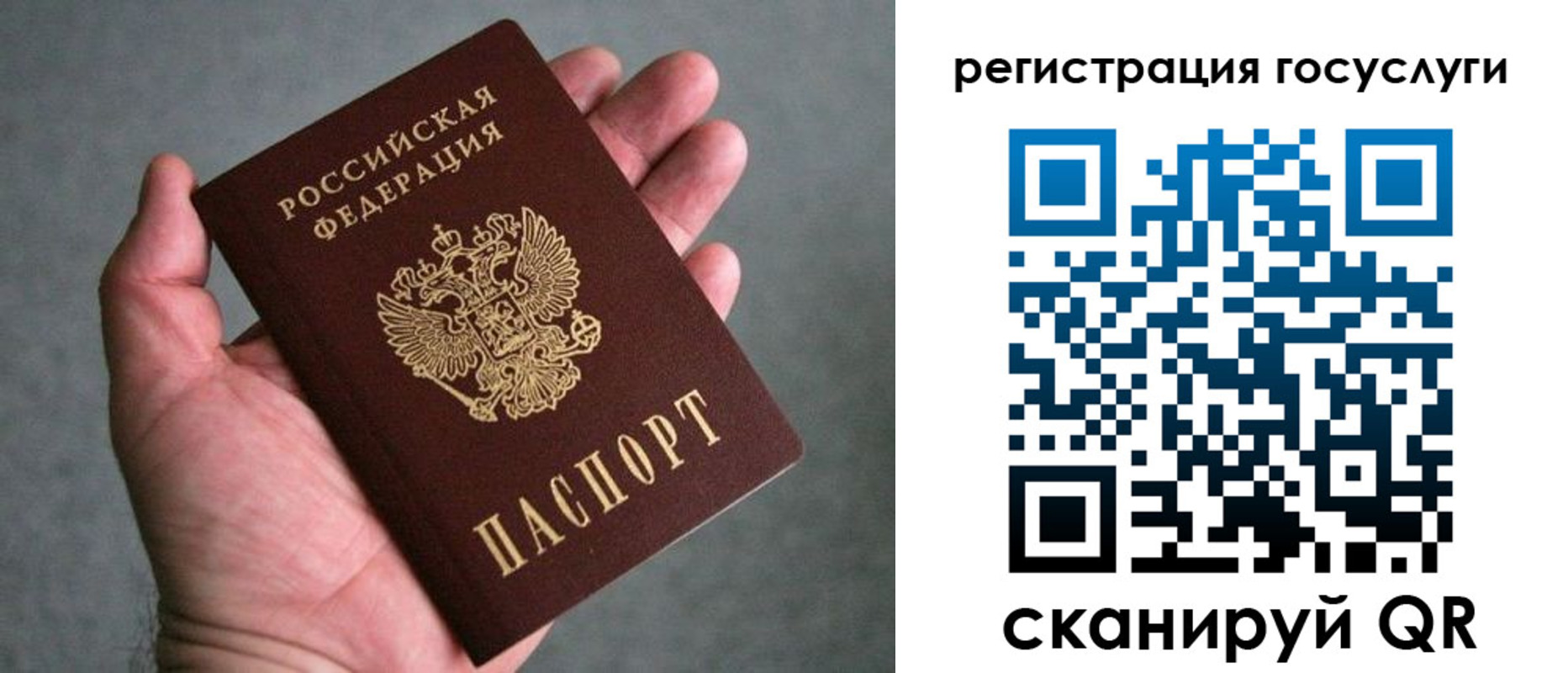 прописка поиск в Кольчугино